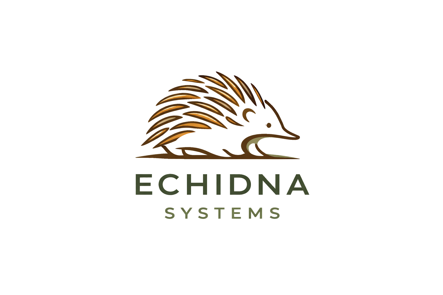 Echidna Systems Logo